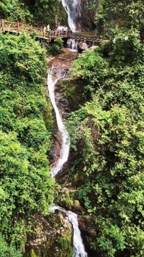 万词王